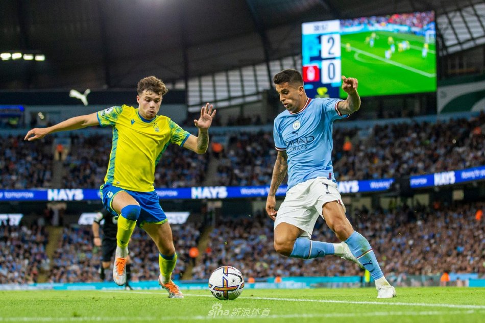 这种转变在 这种转变在